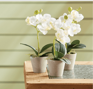 Napa Home Mini Orchid in Pot faux flower NGP508