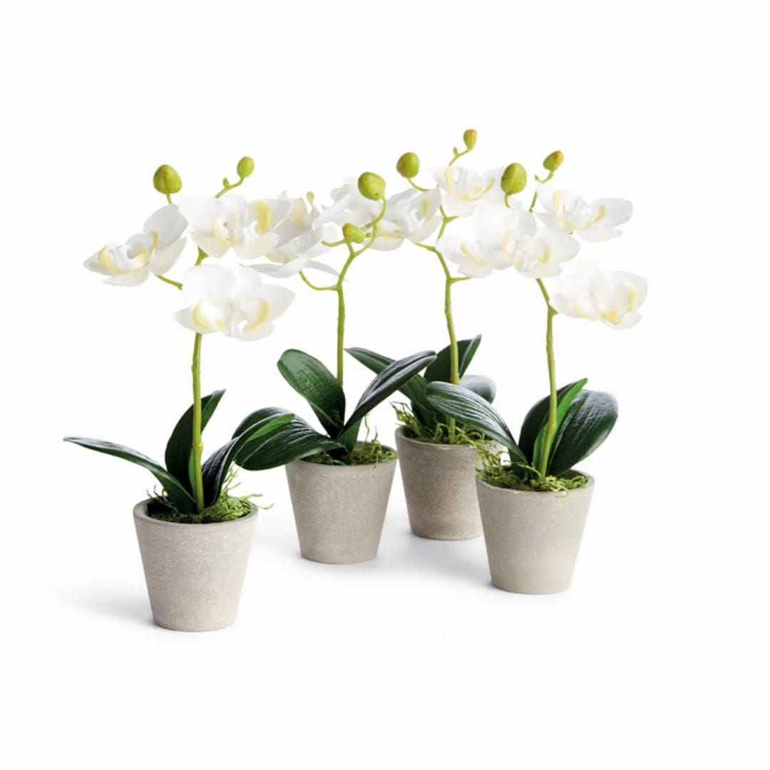 Napa Home Mini Phalaenopsis Orchids Potted faux flower N6GP36WH