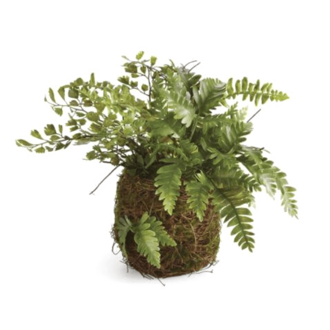 Napa Home Mixed Fern Drop In DI1218