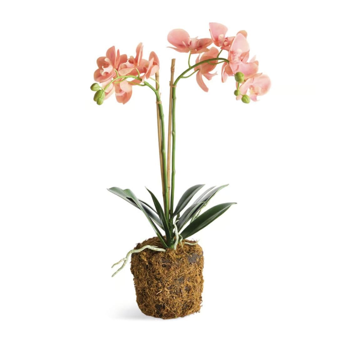 Napa Home Phalaenopsis 23" Orchid Drop-in faux flower N6CC1201PKD