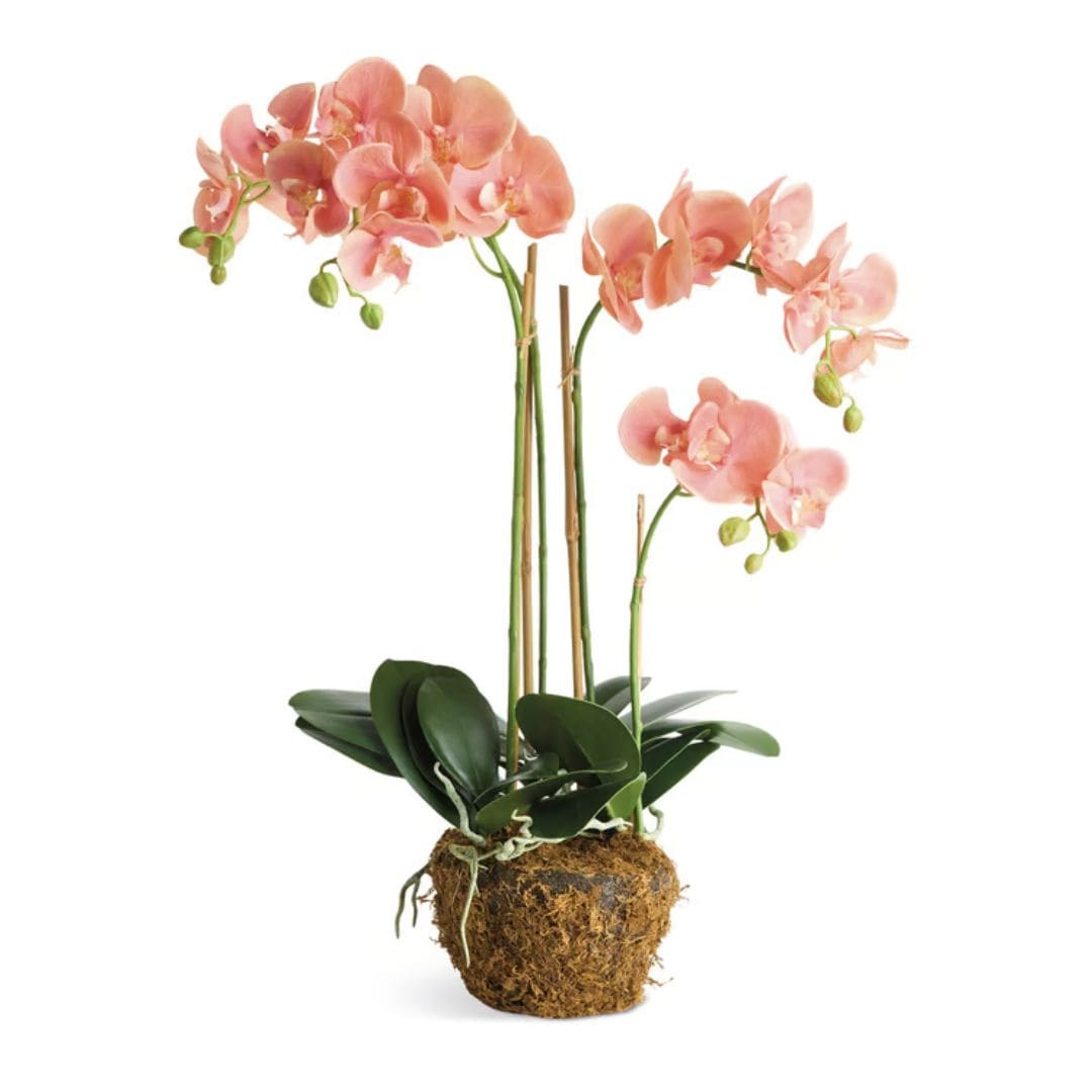 Napa Home Phalaenopsis 30" Orchid Drop-in faux flower N6CC1200PKD