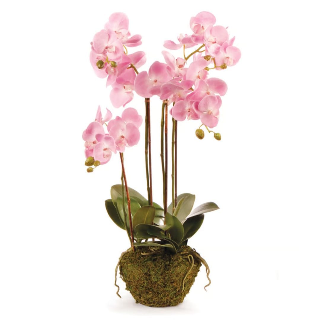Napa Home Phalaenopsis Orchid Drop-in 30" faux flower DI1202P