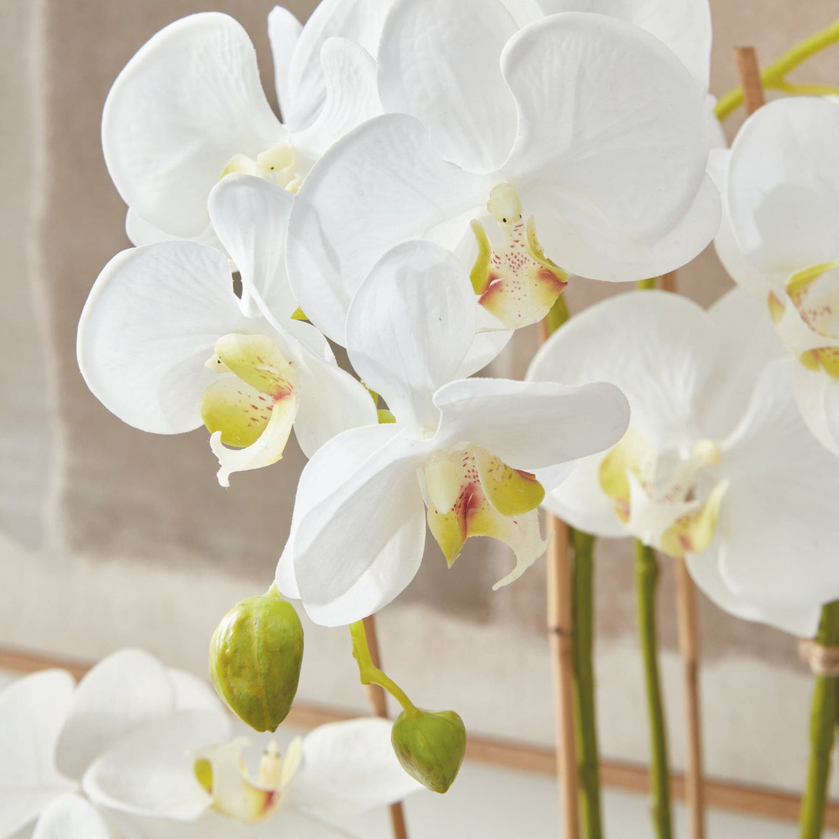 Napa Home Phalaenopsis Orchid Drop in faux flower DI1200