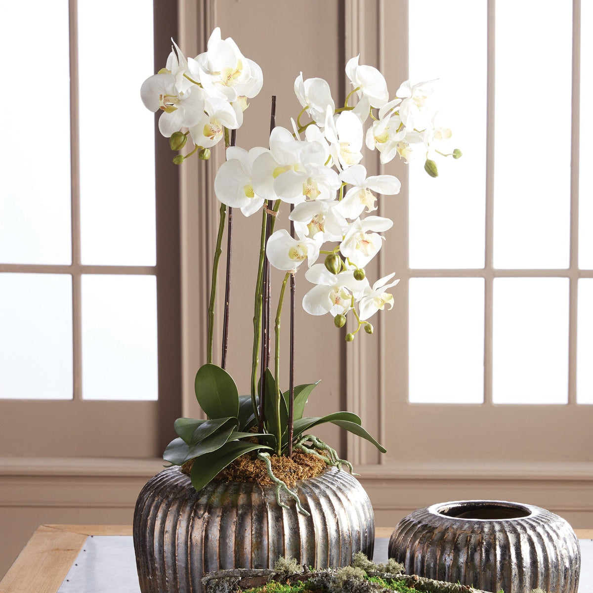 Napa Home Phalaenopsis Orchid Drop in faux flower DI1200