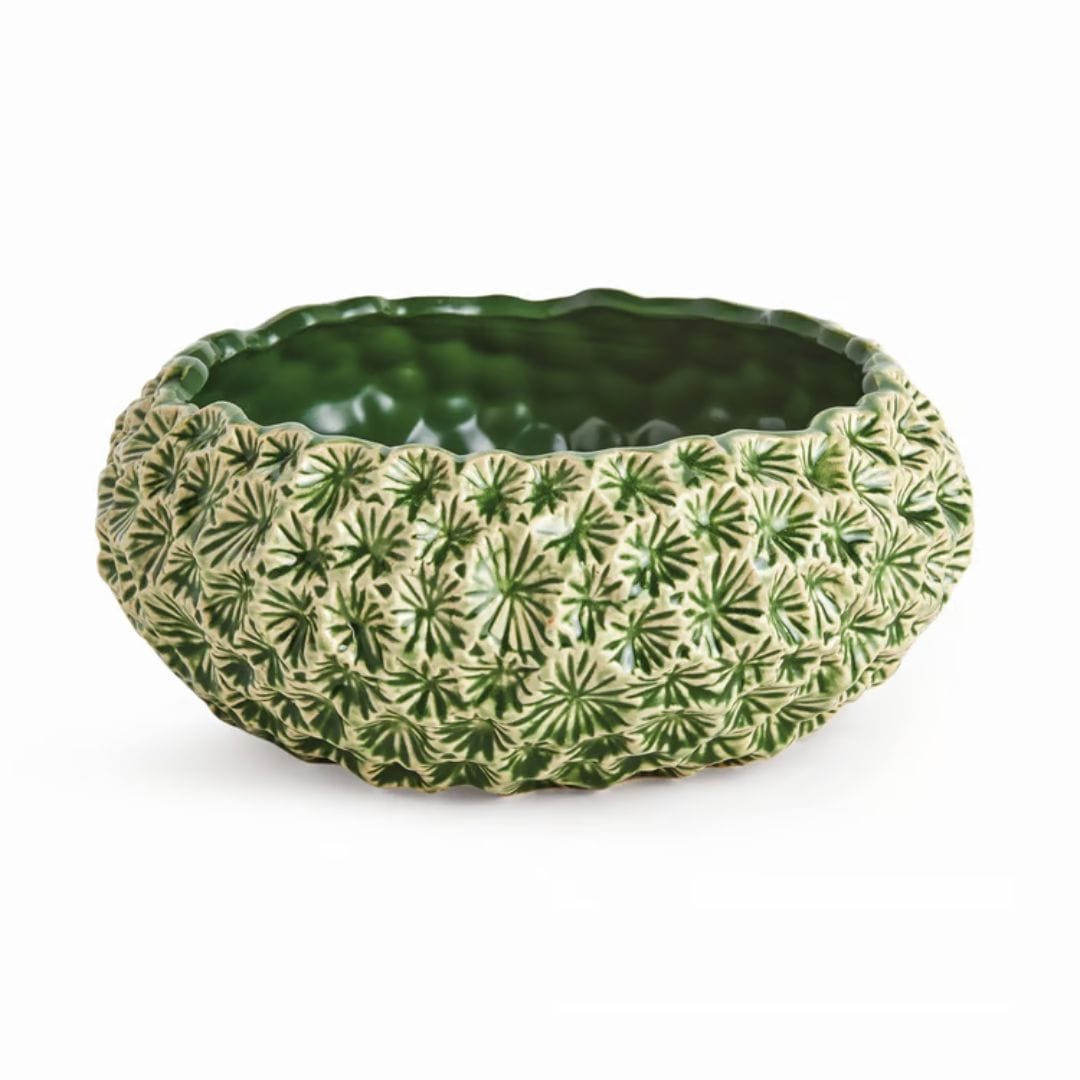 Napa Home Small Aster Decorative Bowl Decorative Bowls N6UG43
