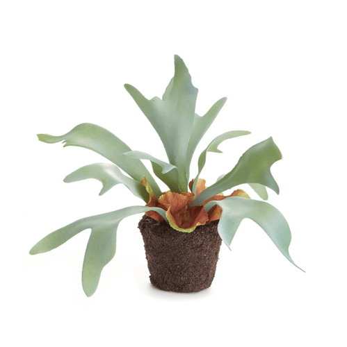 Napa Home Staghorn Fern Drop In faux flower CC351