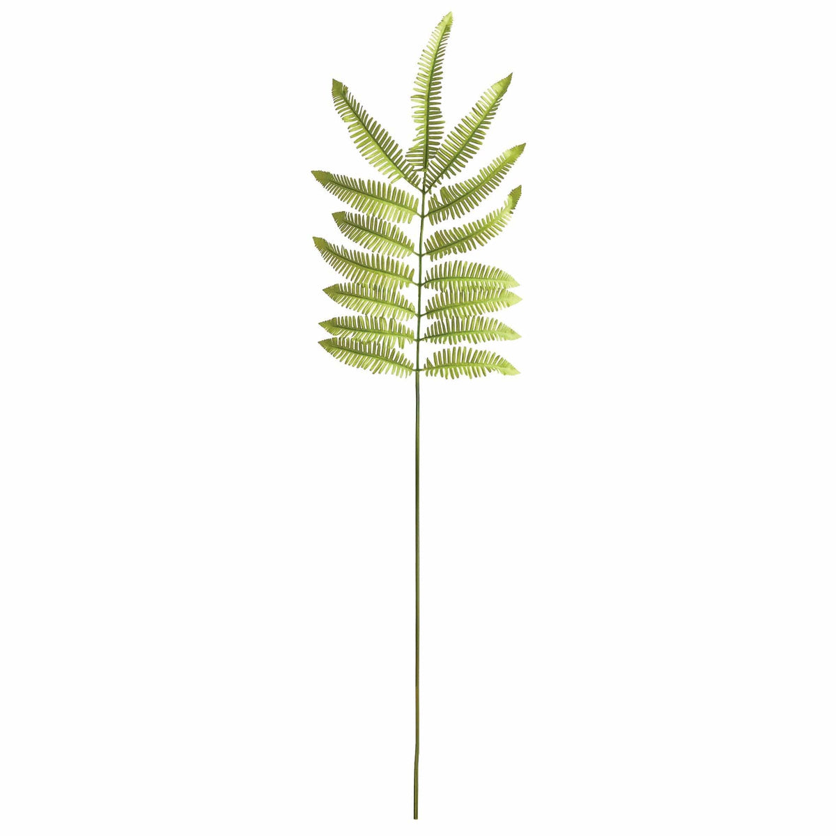 Napa Home TREE FERN STEM 42.5" Faux Branches NGP502