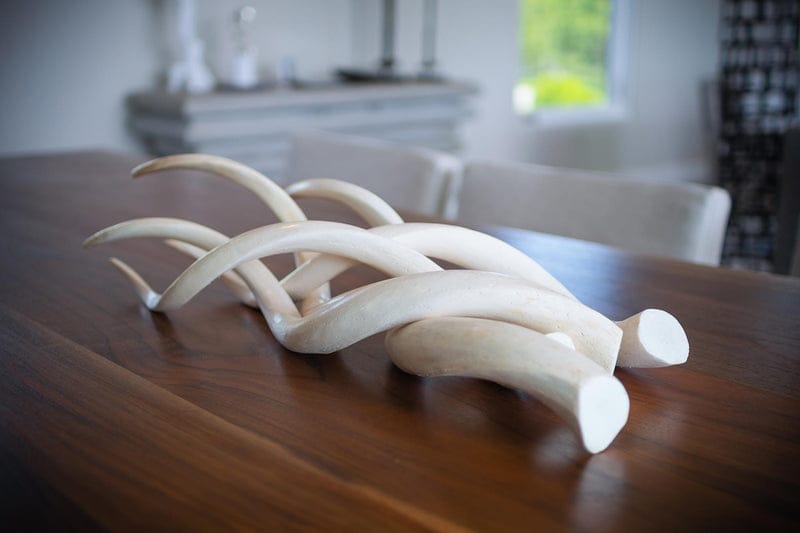 Kudu Inner Horn - secondary