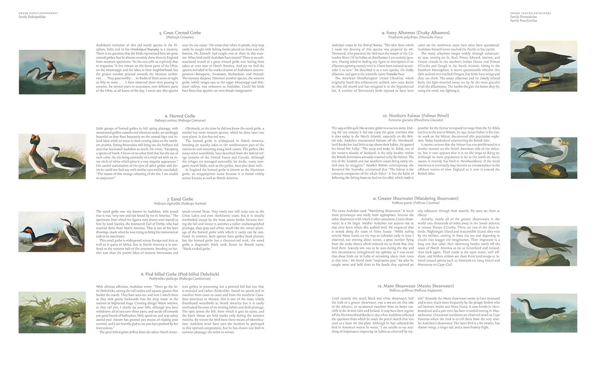 Phaidon Audubon's Birds of America: The Baby Elephant Folio Books