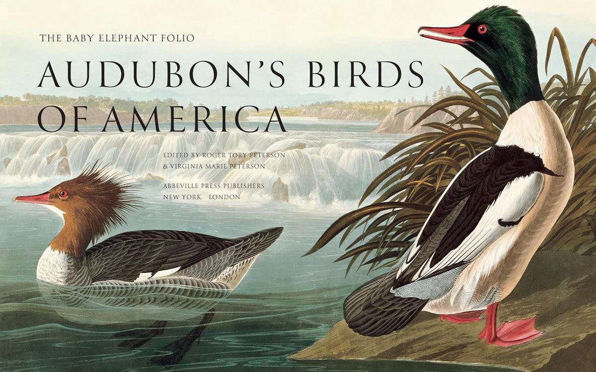 Phaidon Audubon's Birds of America: The Baby Elephant Folio Books