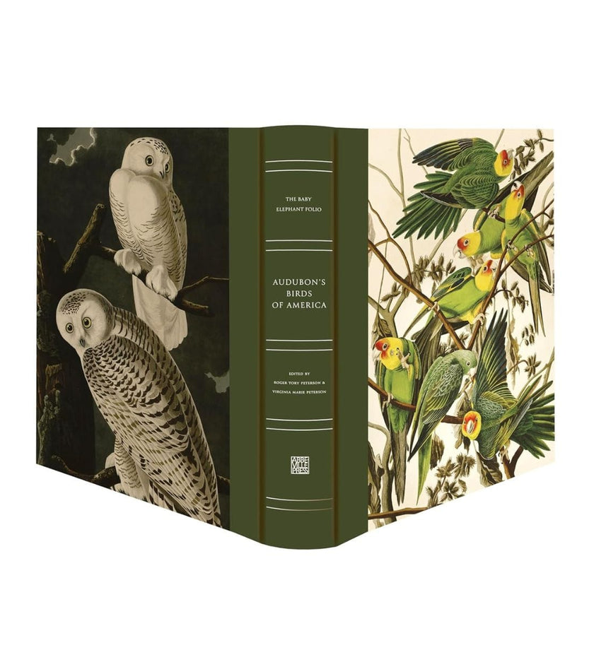 Audubon's Birds of America: The Baby Elephant Folio - secondary
