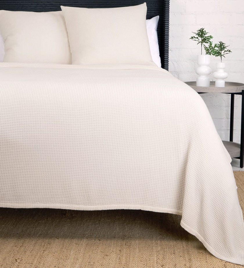 Balboa Collection - secondary