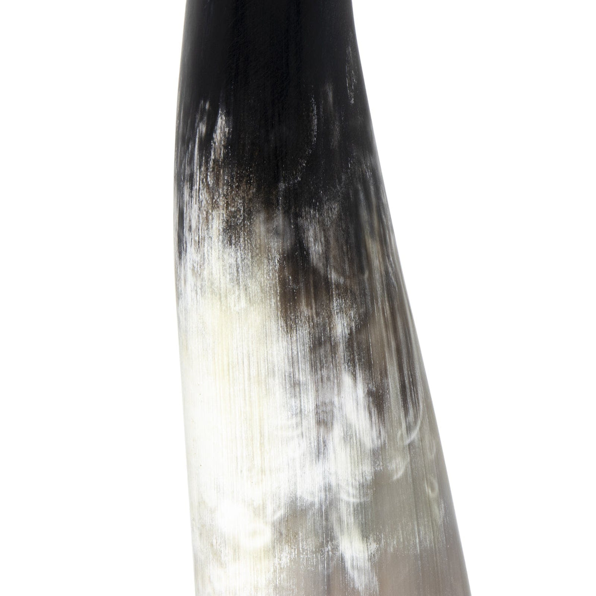 Regina Andrew Daylon Horn Sculptures