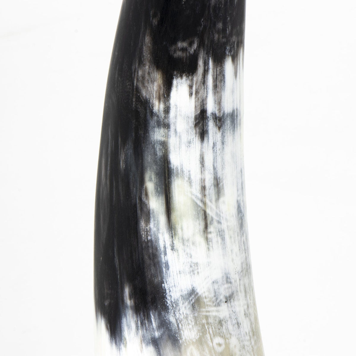 Regina Andrew Daylon Horn Sculptures