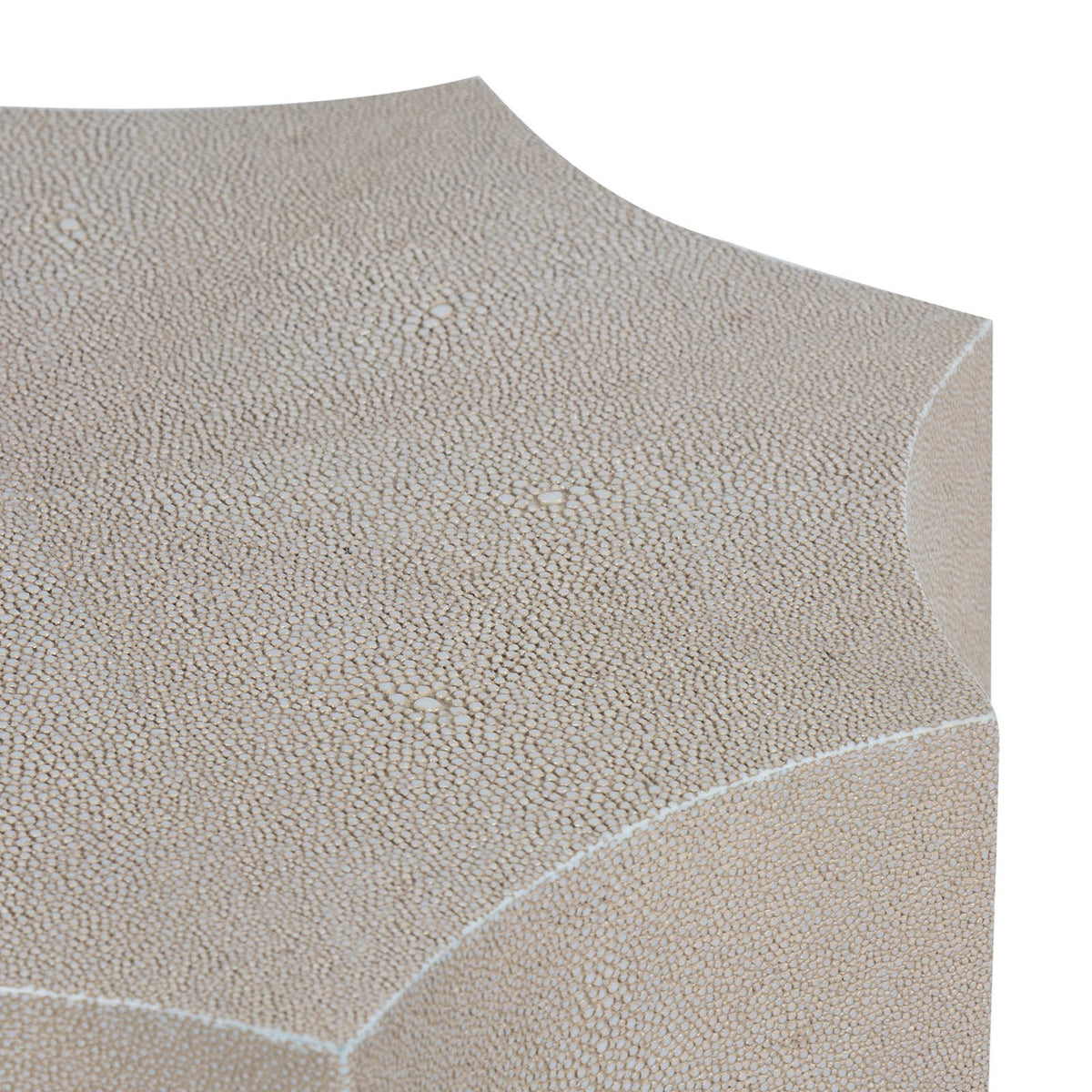 Regina Andrew Marilyn Shagreen Side Table Side Tables 30-1197IV