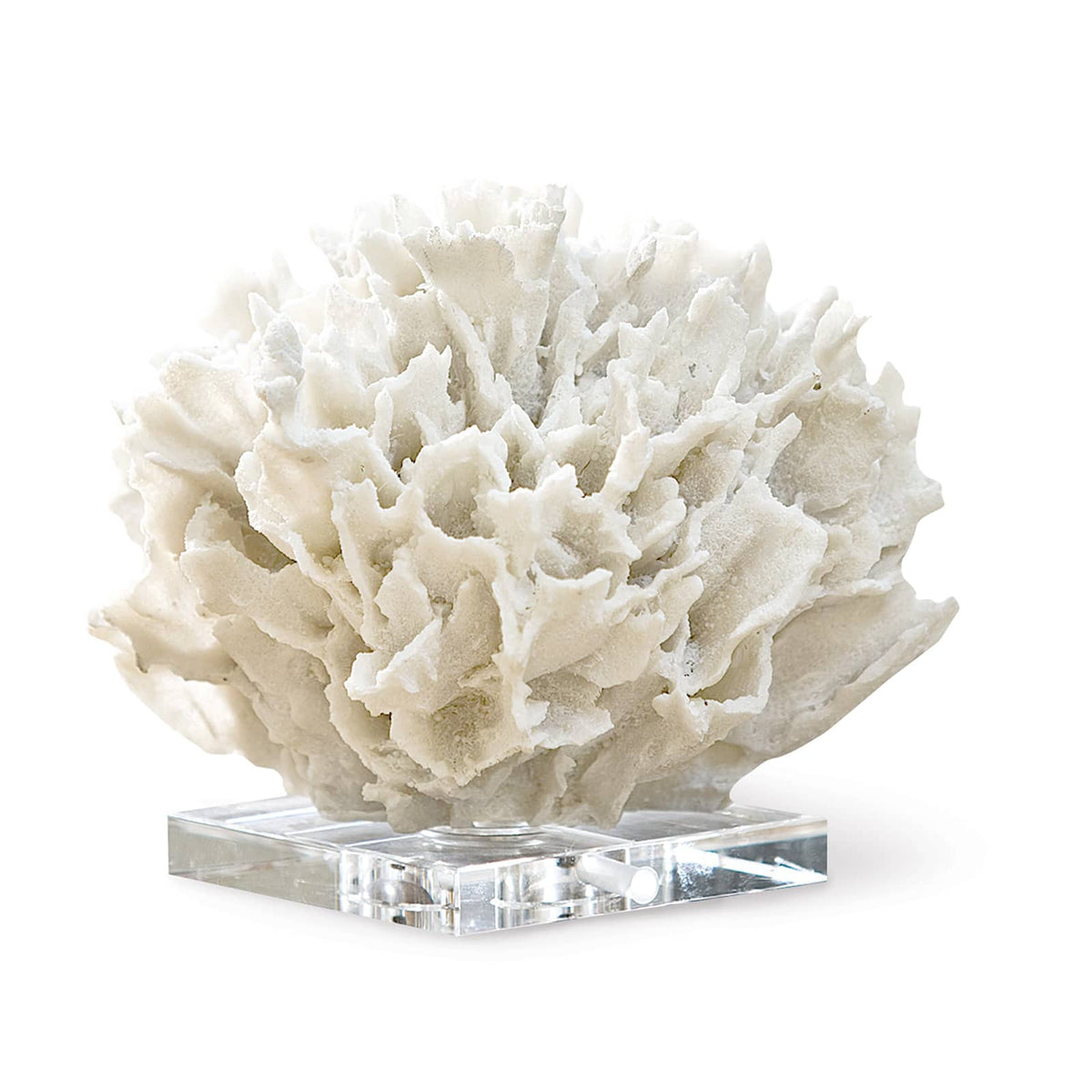 Regina Andrew Ribbon Coral Sculptures 20-1022