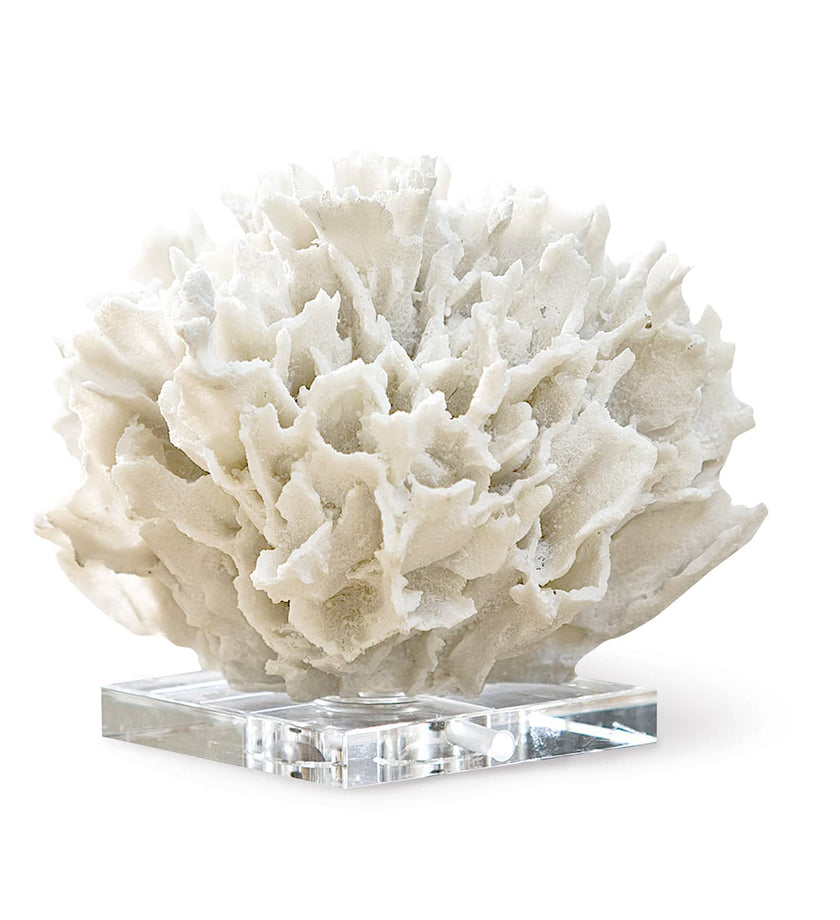 Regina Andrew Ribbon Coral