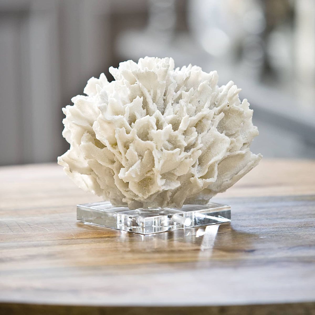 Regina Andrew Ribbon Coral Sculptures 20-1022