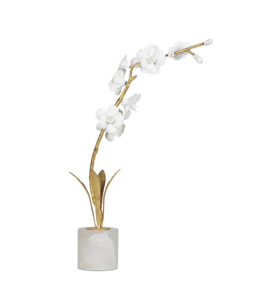 Regina Andrew Thylane Accessory