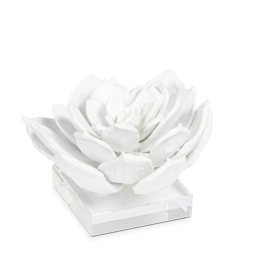 Regina Andrew Succulent Resin Sculpture