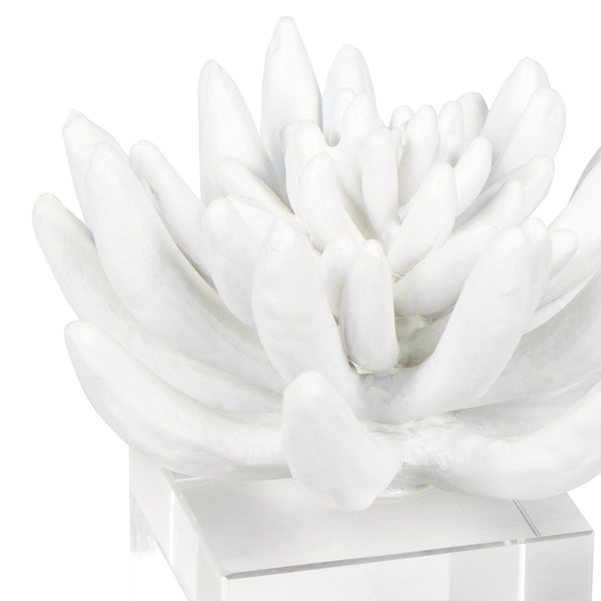 Regina Andrew Succulent Resin Sculpture Sculptures