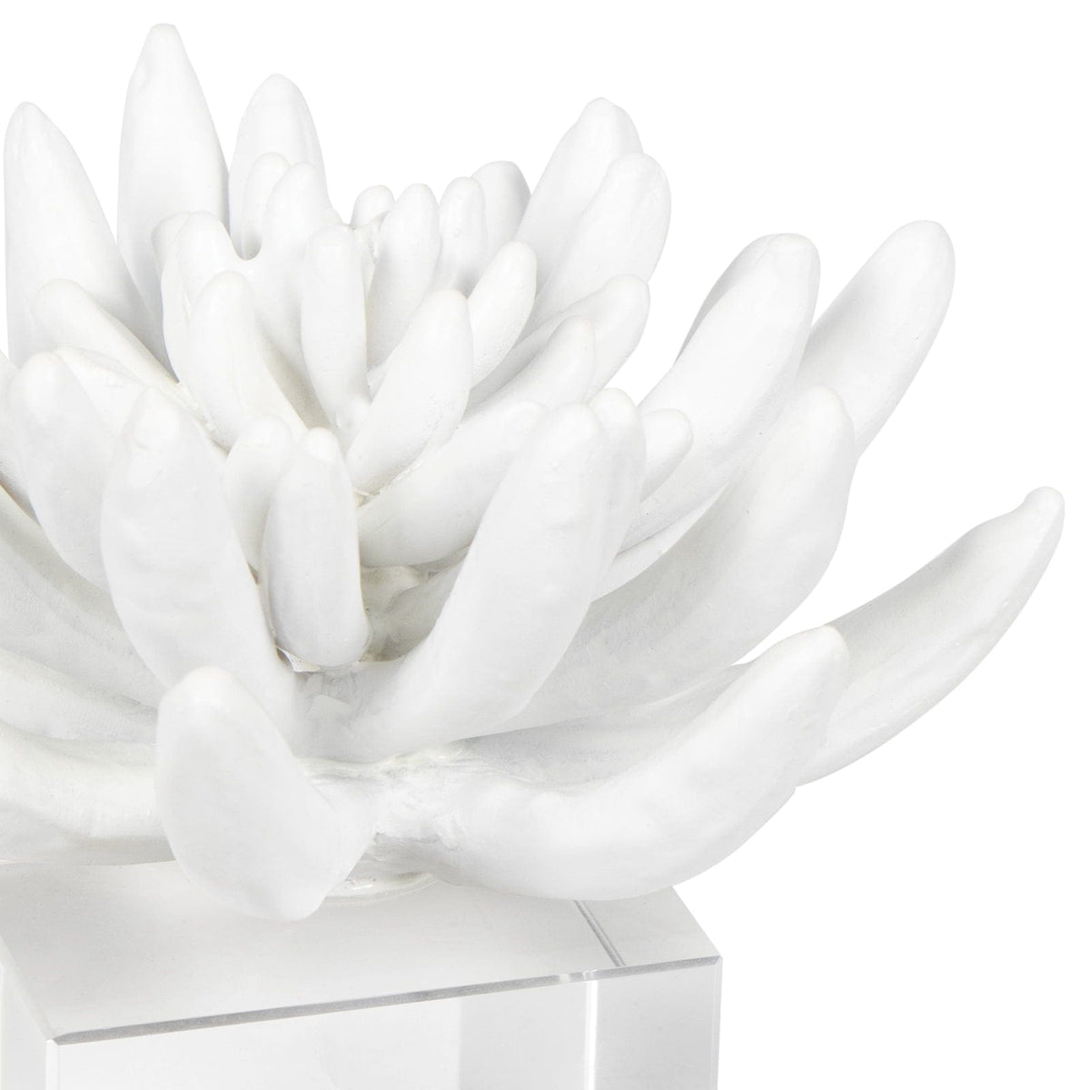 Regina Andrew Succulent Resin Sculpture Sculptures