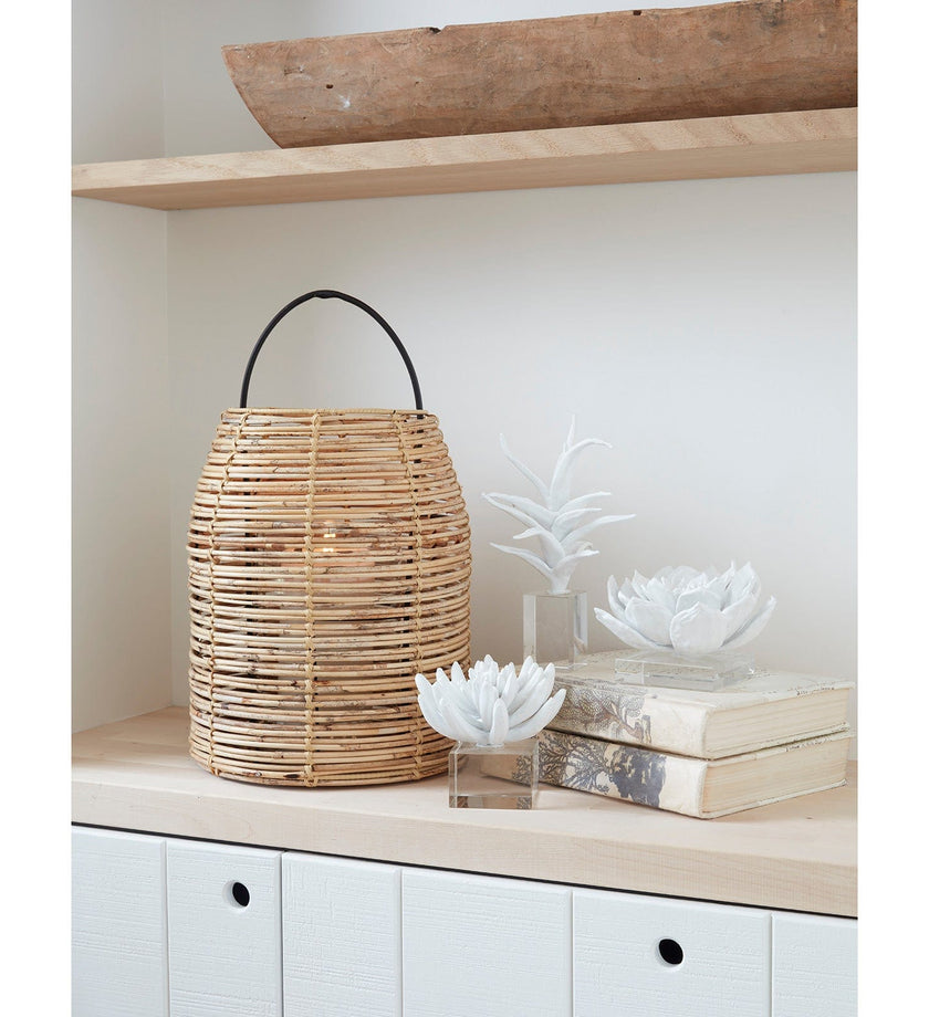 Regina Andrew Succulent Resin Sculpture - secondary