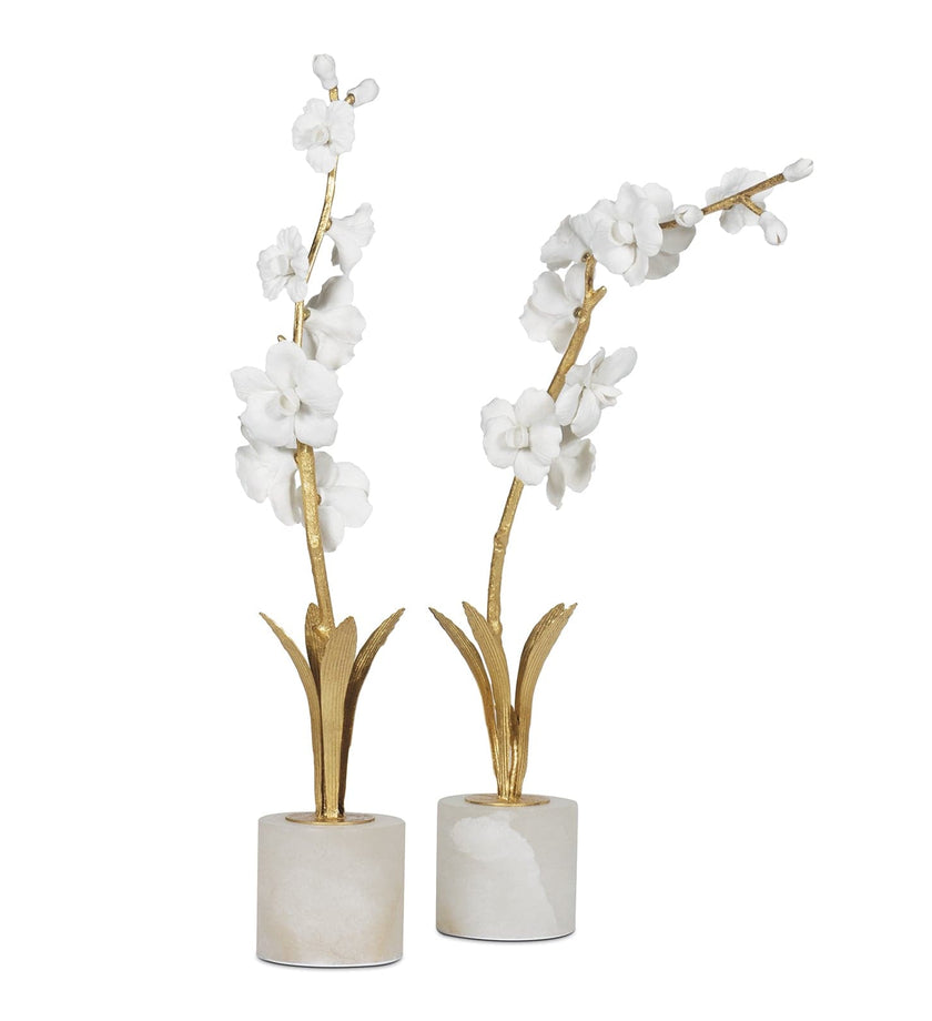 Regina Andrew Thylane Accessory - secondary