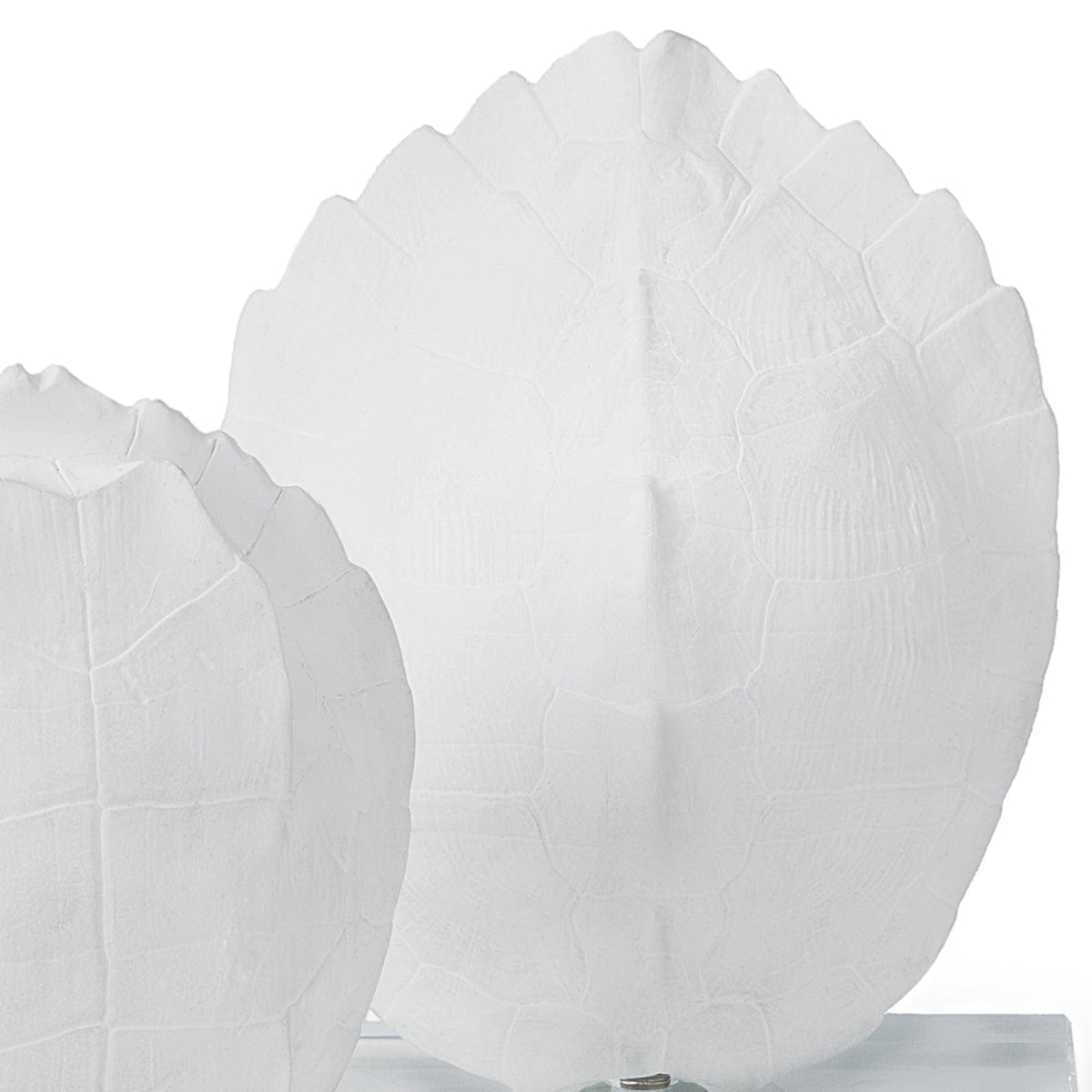 Regina Andrew Turtle Shells On Crystal Sculptures 20-1043
