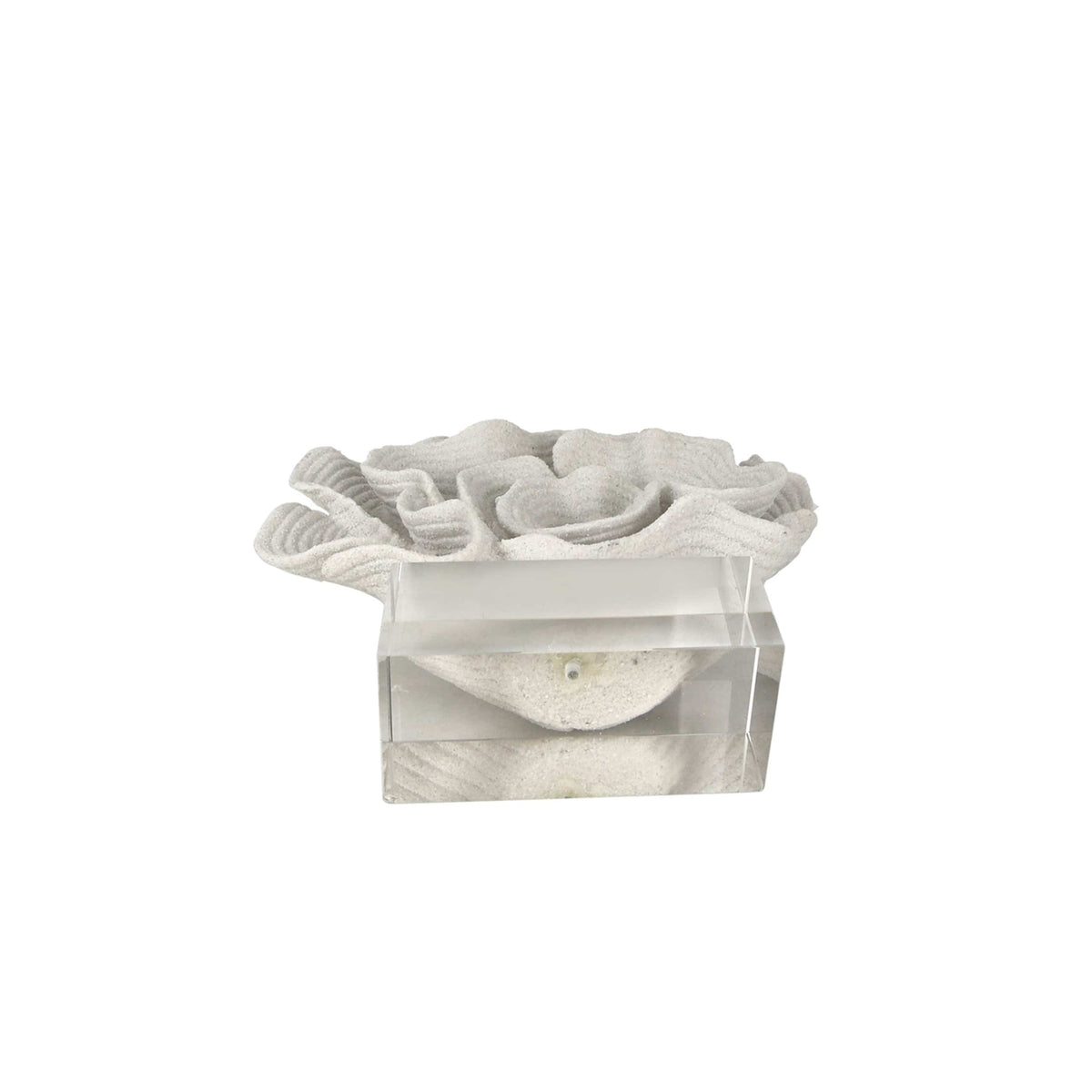 Sagebrook Home Egerton Coral Statuary Decor EV22159