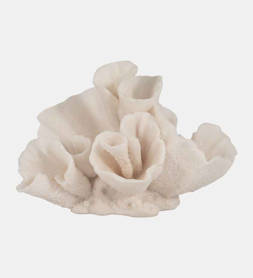 Ivory Coral Object