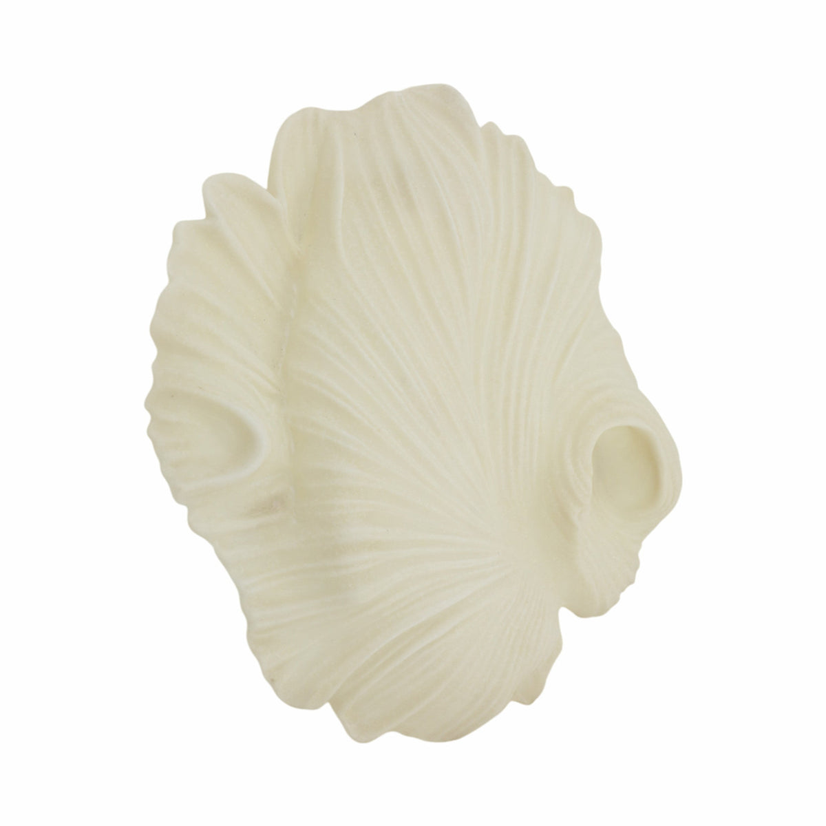 Sagebrook Home Majorca Shell Wall Decor Decor EV21440