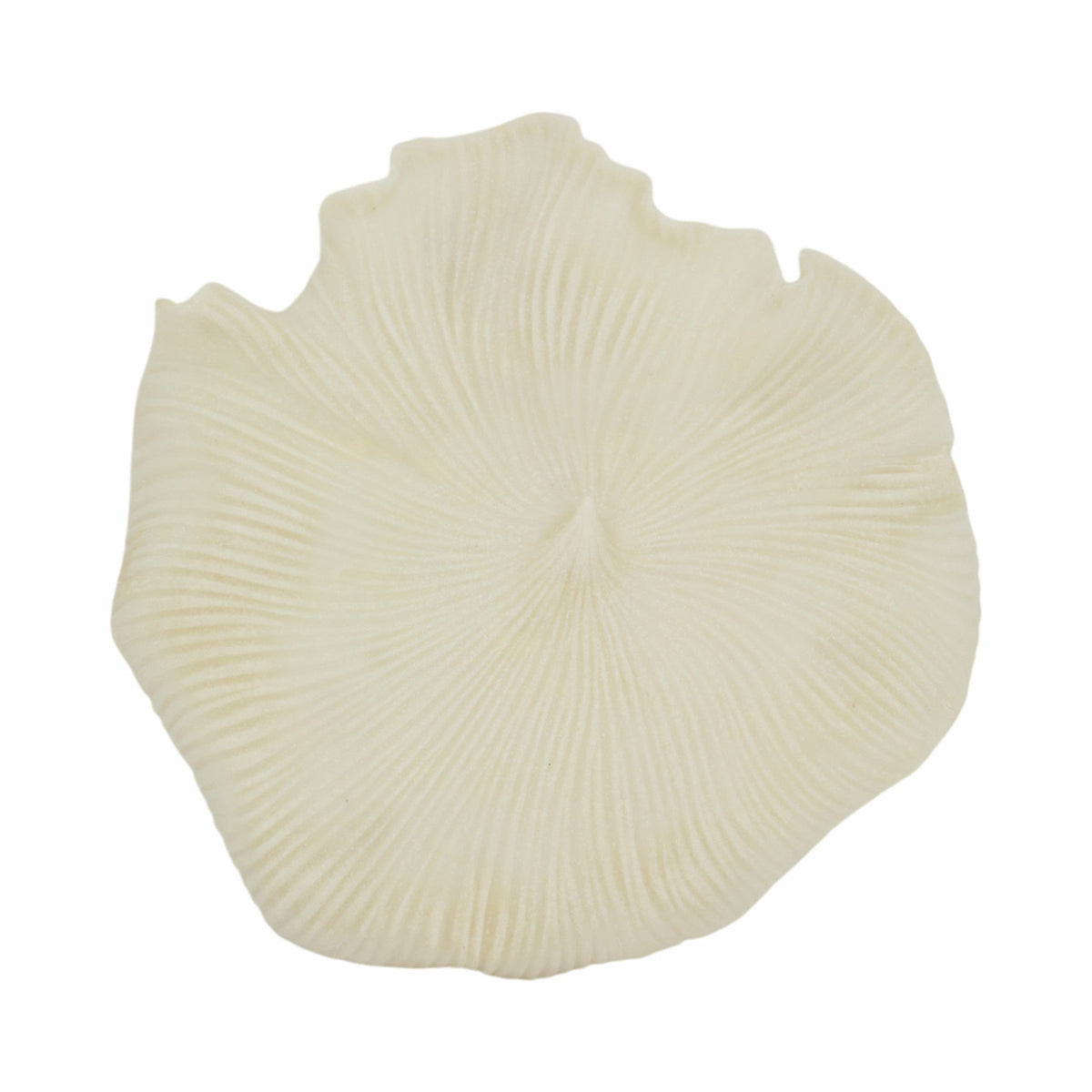 Sagebrook Home Majorca Shell Wall Decor Decor EV21440