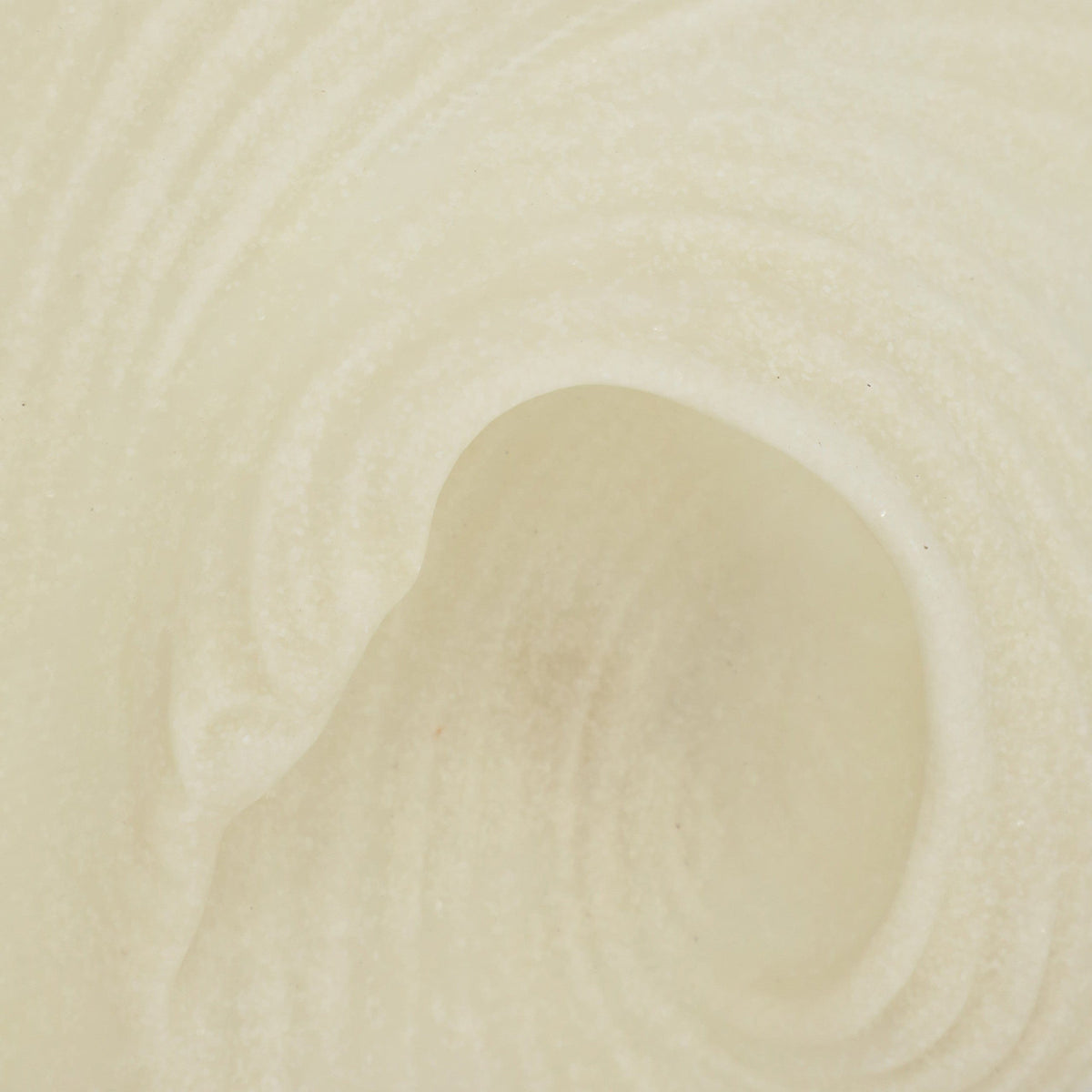 Sagebrook Home Majorca Shell Wall Decor Decor EV21440