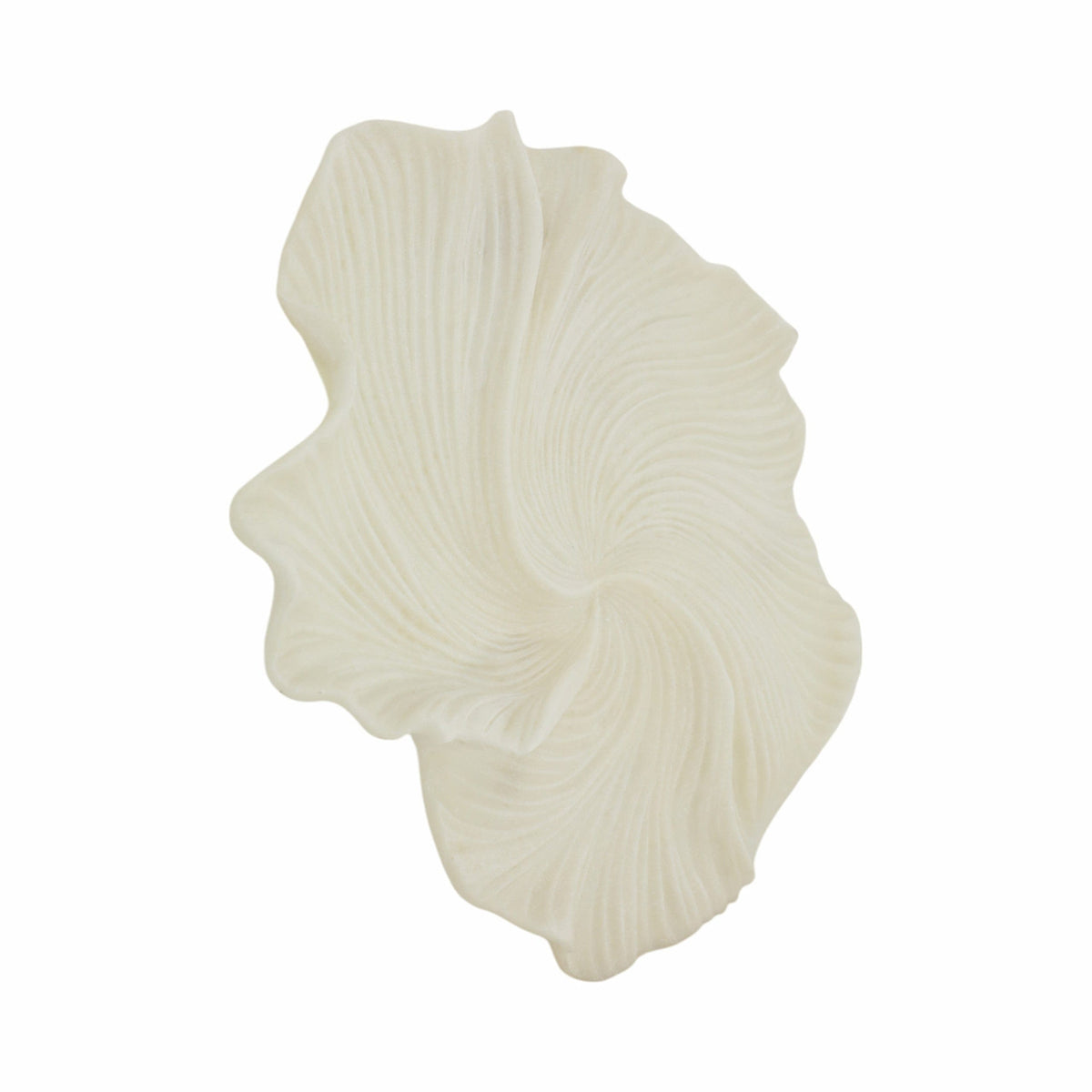 Sagebrook Home Majorca Shell Wall Decor Decor EV21440