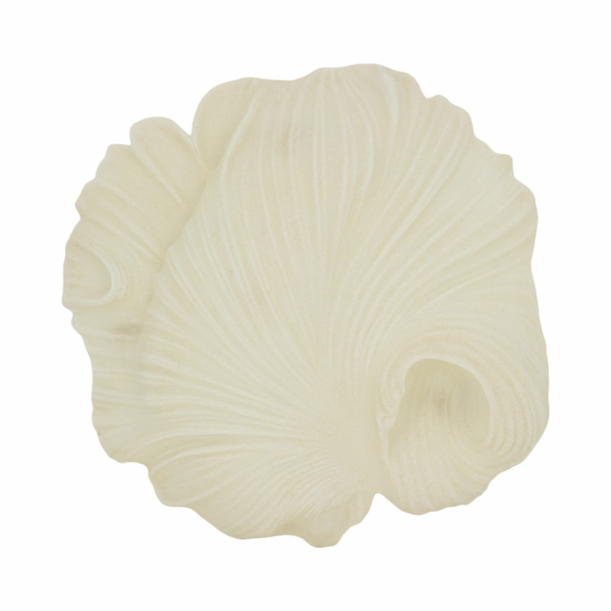 Sagebrook Home Majorca Shell Wall Decor Decor EV21440