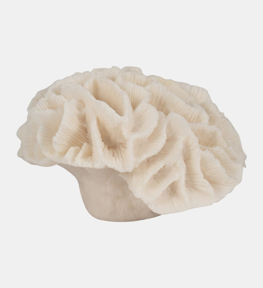 Petal Coral Object