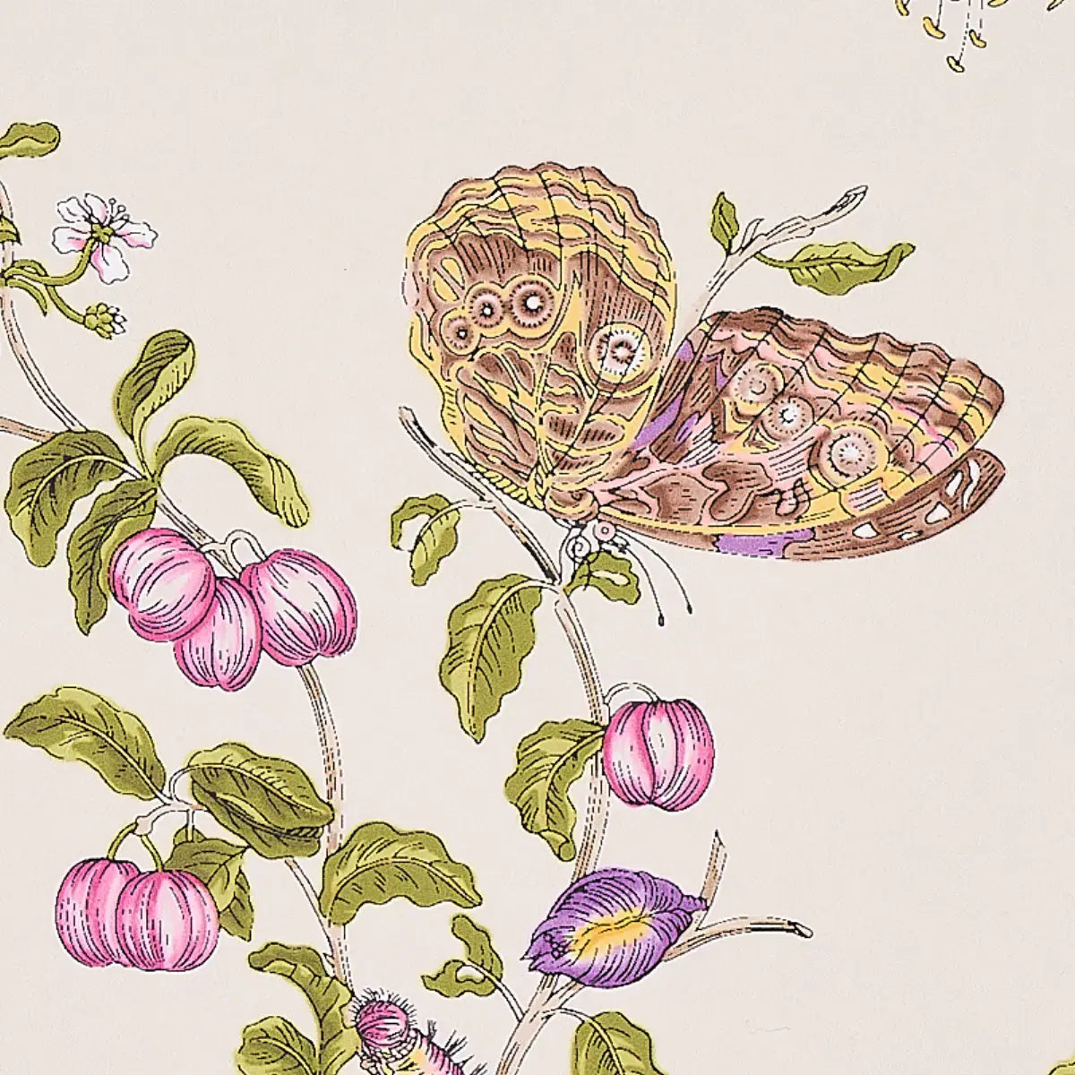 Schumacher Baudin Butterfly Wallpaper