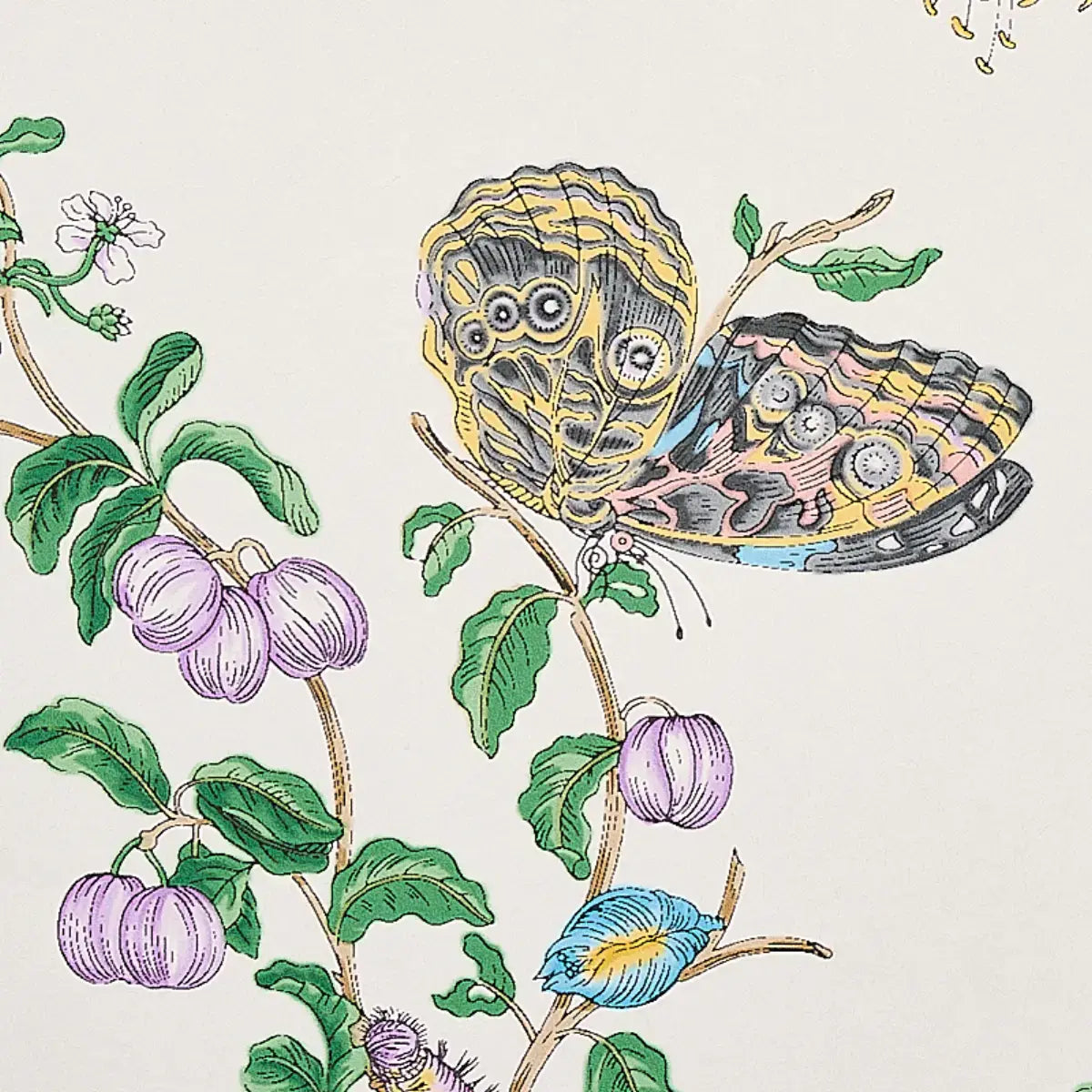 Schumacher Baudin Butterfly Wallpaper
