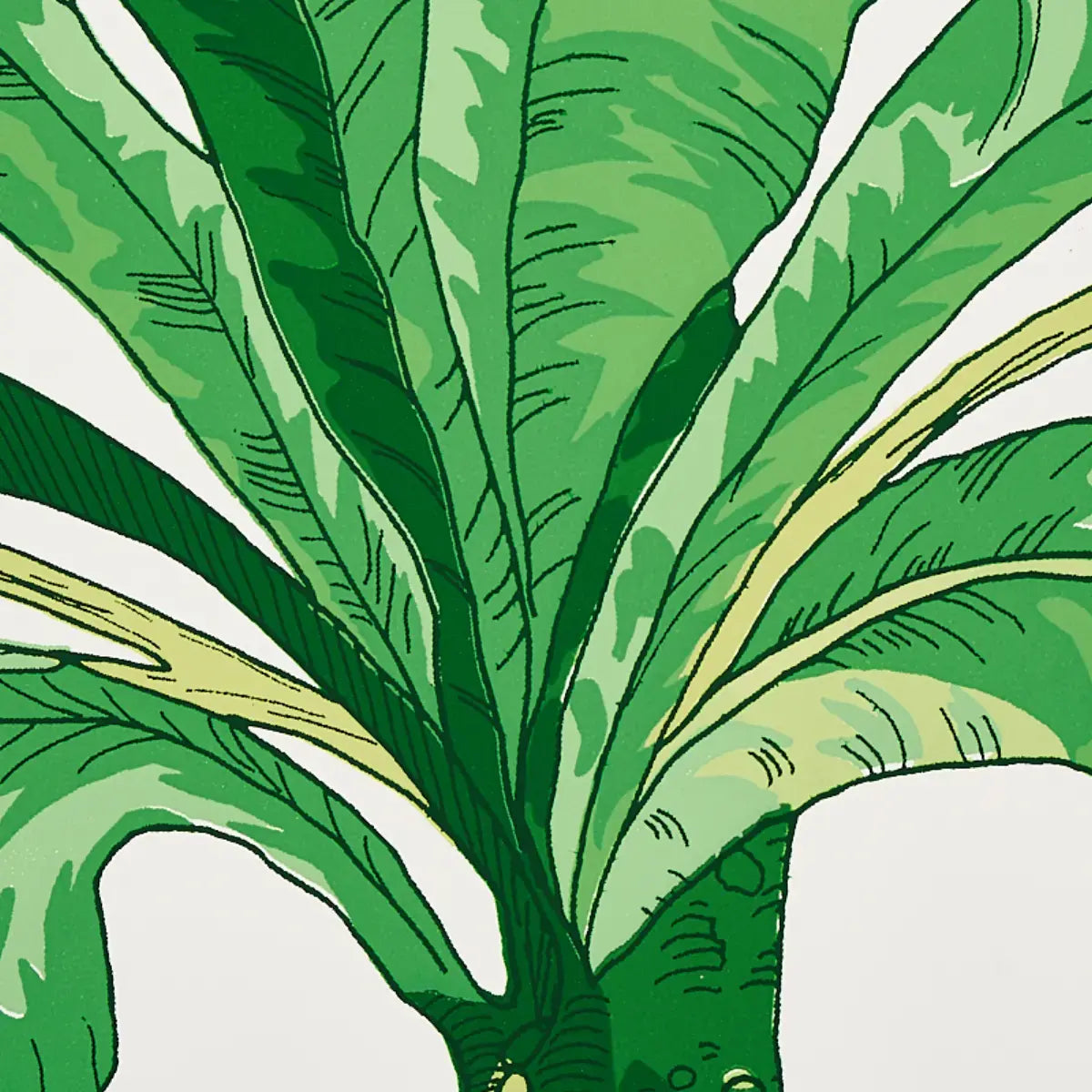 Schumacher Blair House Palm Wallpaper
