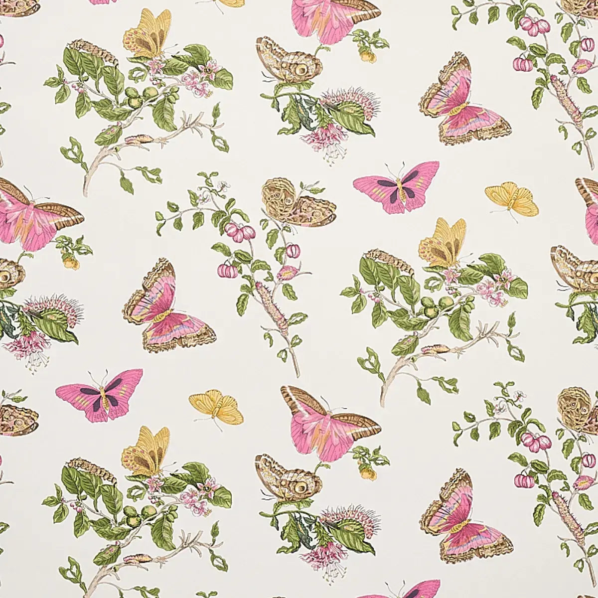 Schumacher Blush / 10 yards Baudin Butterfly Wallpaper