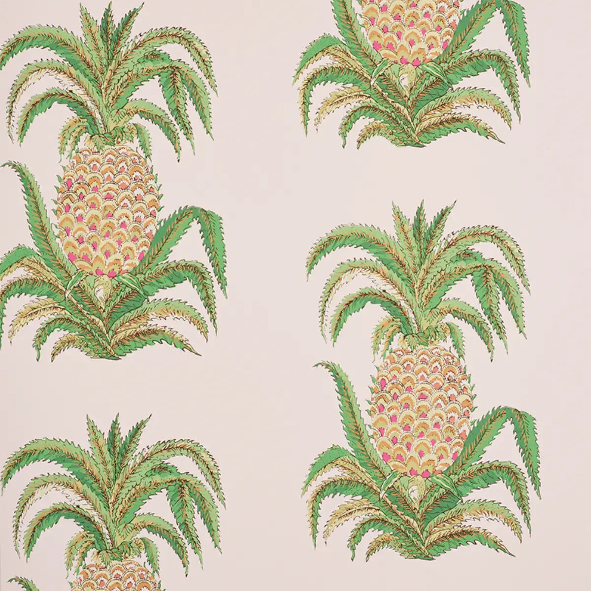 Schumacher Blush / 9 yards Pineapples Wallpaper