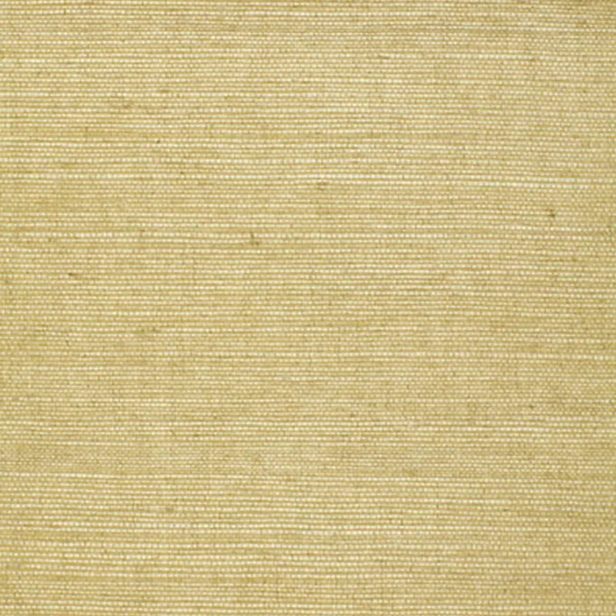 Schumacher Celery / 8 yards Haruki Sisal Wallpaper 5004708