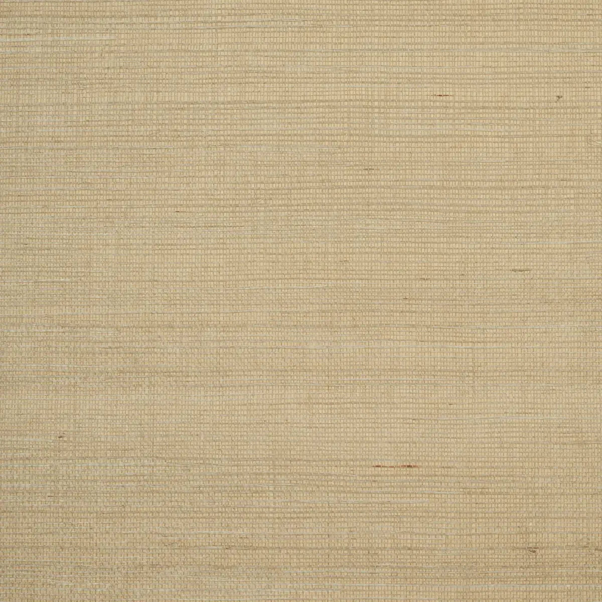 Schumacher Driftwood / 8 yards Haruki Sisal Wallpaper 5004702