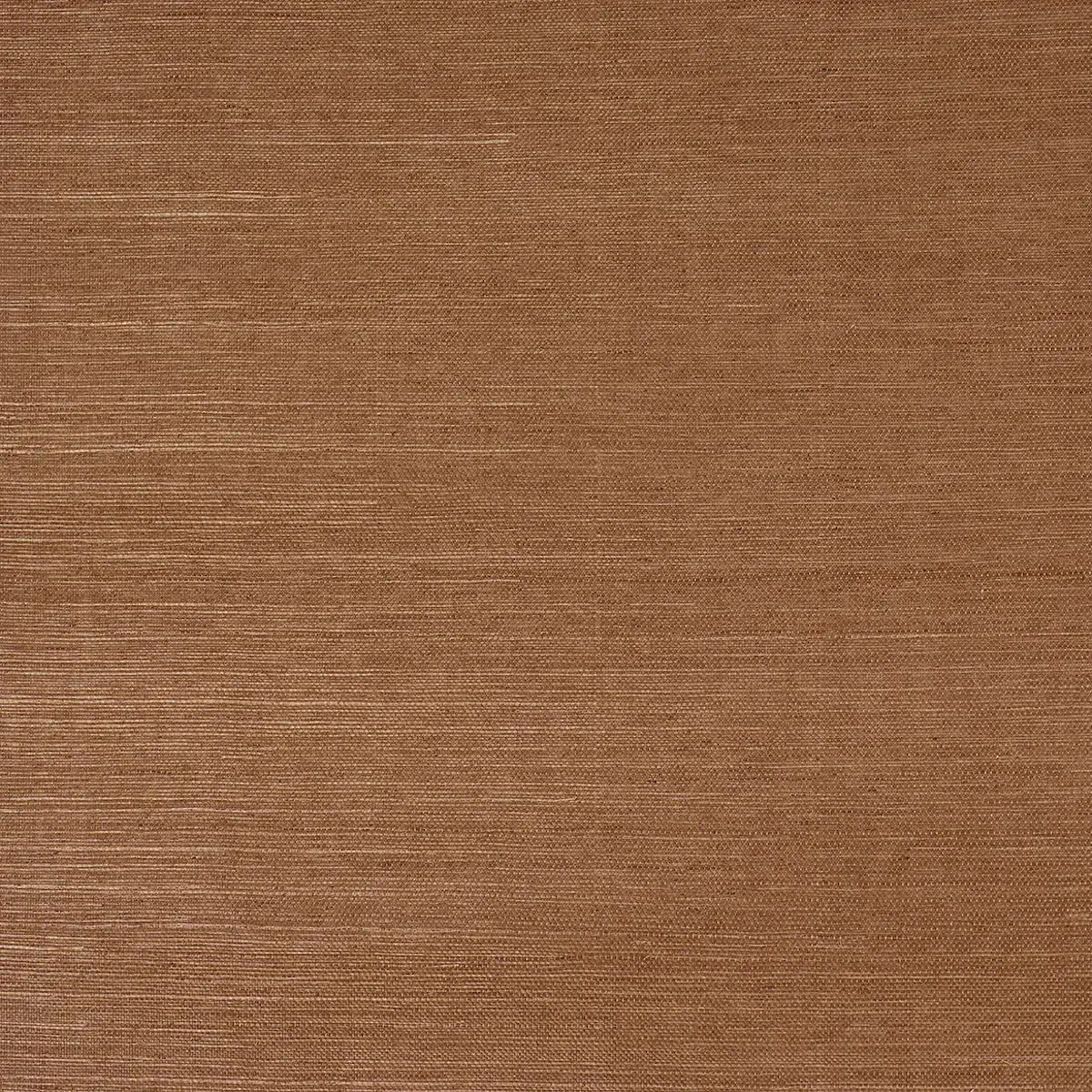 Schumacher Ghost Ranch / 8 yards Haruki Sisal Wallpaper 5016851