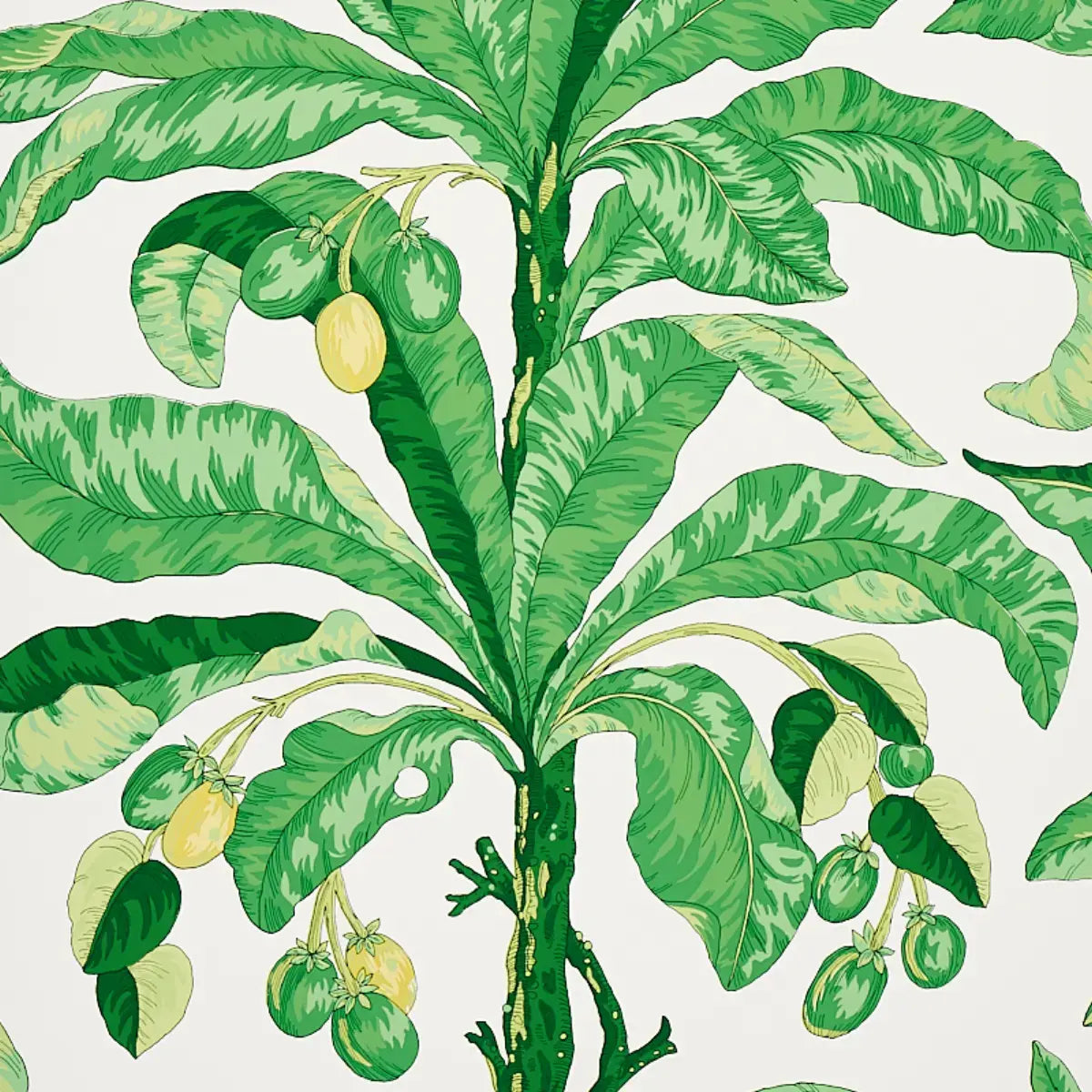Schumacher Green / 11 yards Blair House Palm Wallpaper