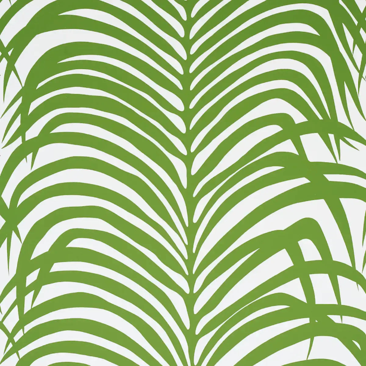 Schumacher Jungle / 9 yards Zebra Palm Wallpaper