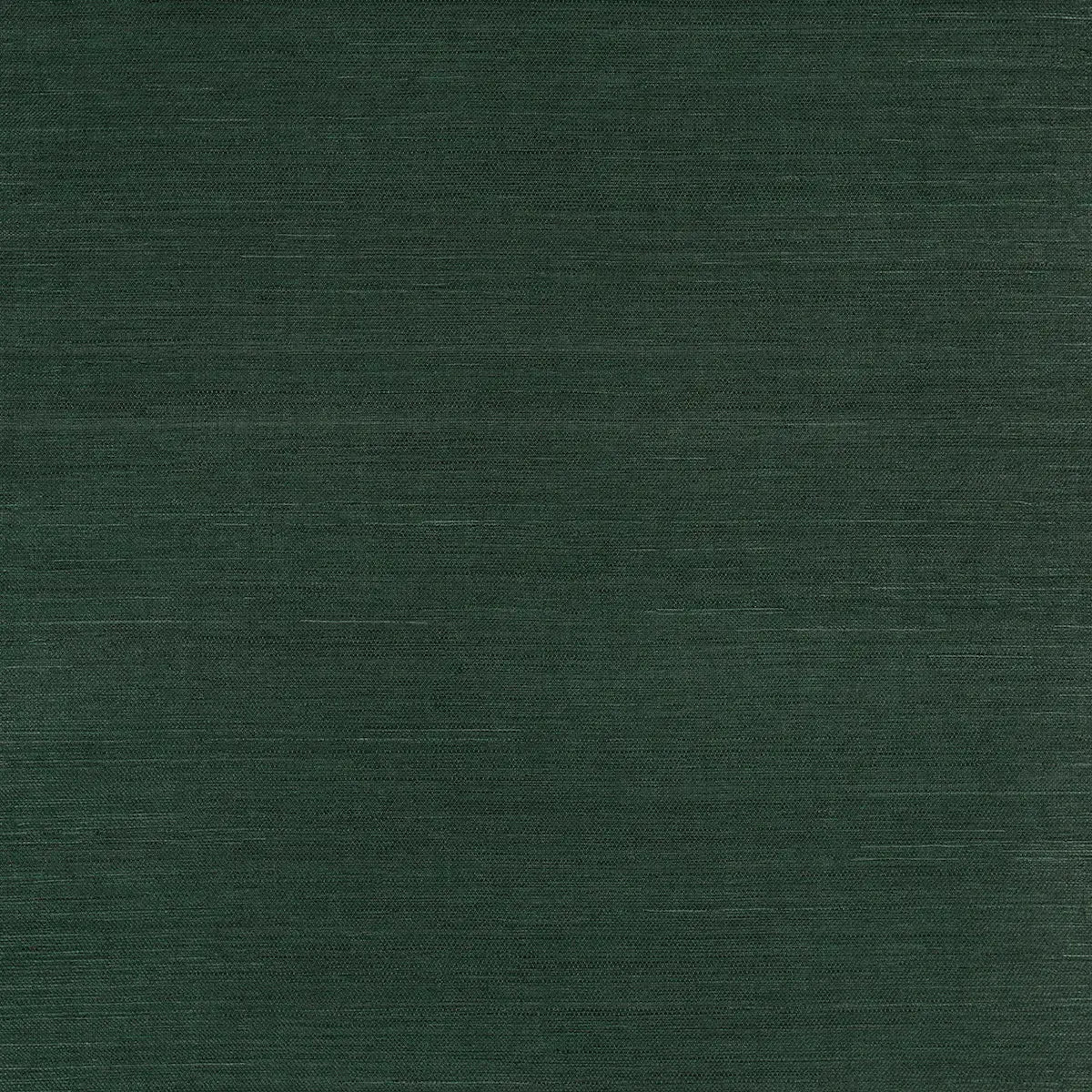 Schumacher Kismet / 8 yards Haruki Sisal Wallpaper 5016855
