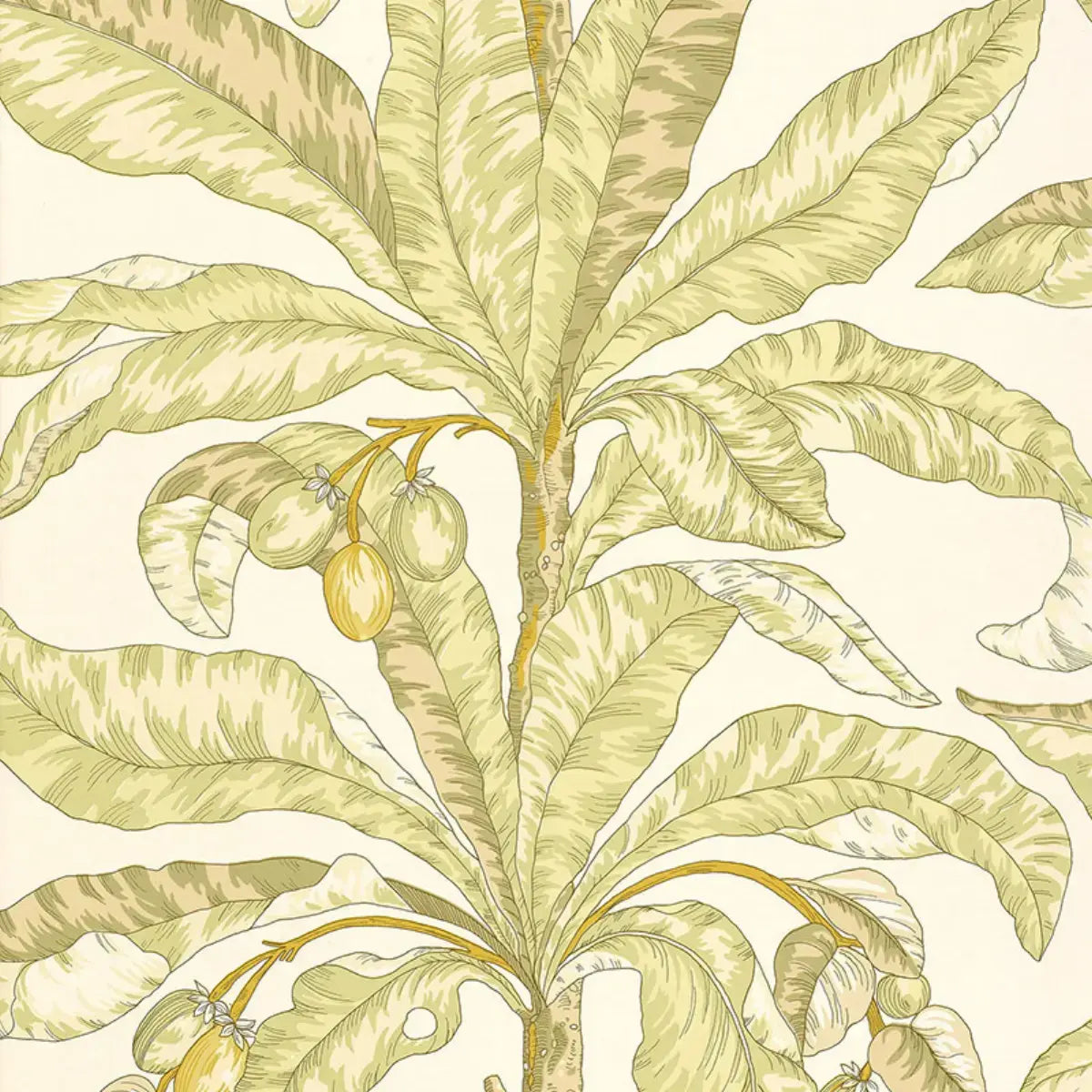 Schumacher Kiwi / 11 yards Blair House Palm Wallpaper