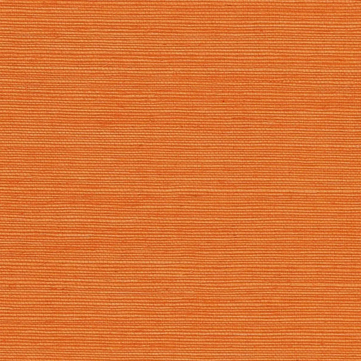 Schumacher Mandarin / 8 yards Haruki Sisal Wallpaper 5004719